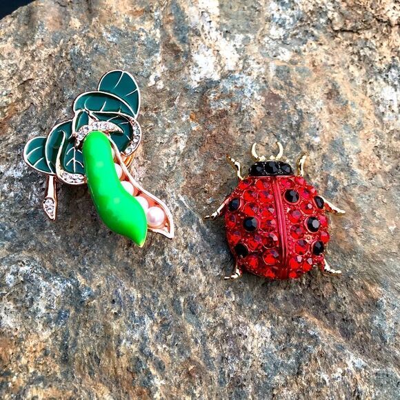 Ladybug & Peapod Brooch - Picture 1 of 13
